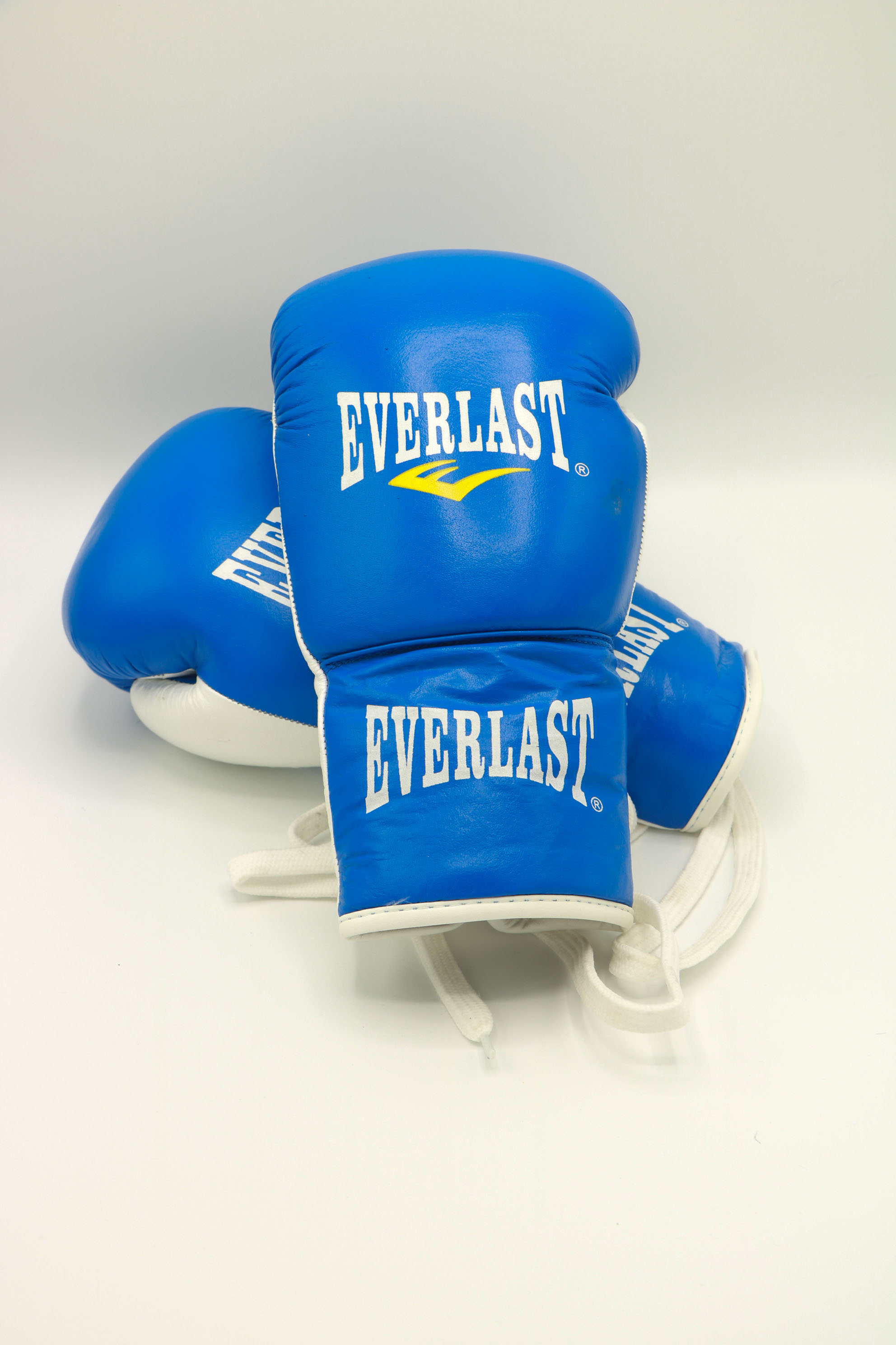 دستکش بوکس چرم EVERLAST